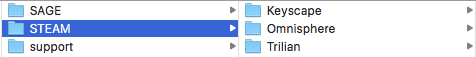 STEAM folder contents