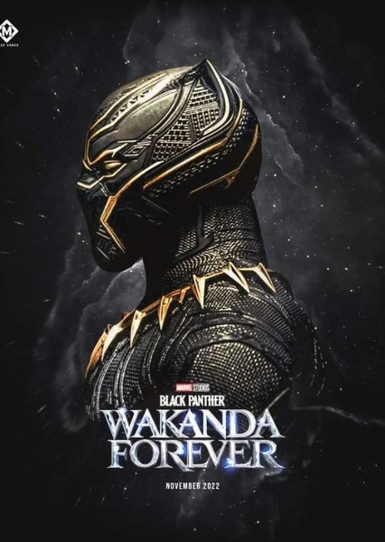 Black Panther: Wakanda Forever