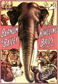Ringling Bros Circus