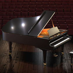 LA Custom C7 - Softest