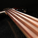 hollow fretless